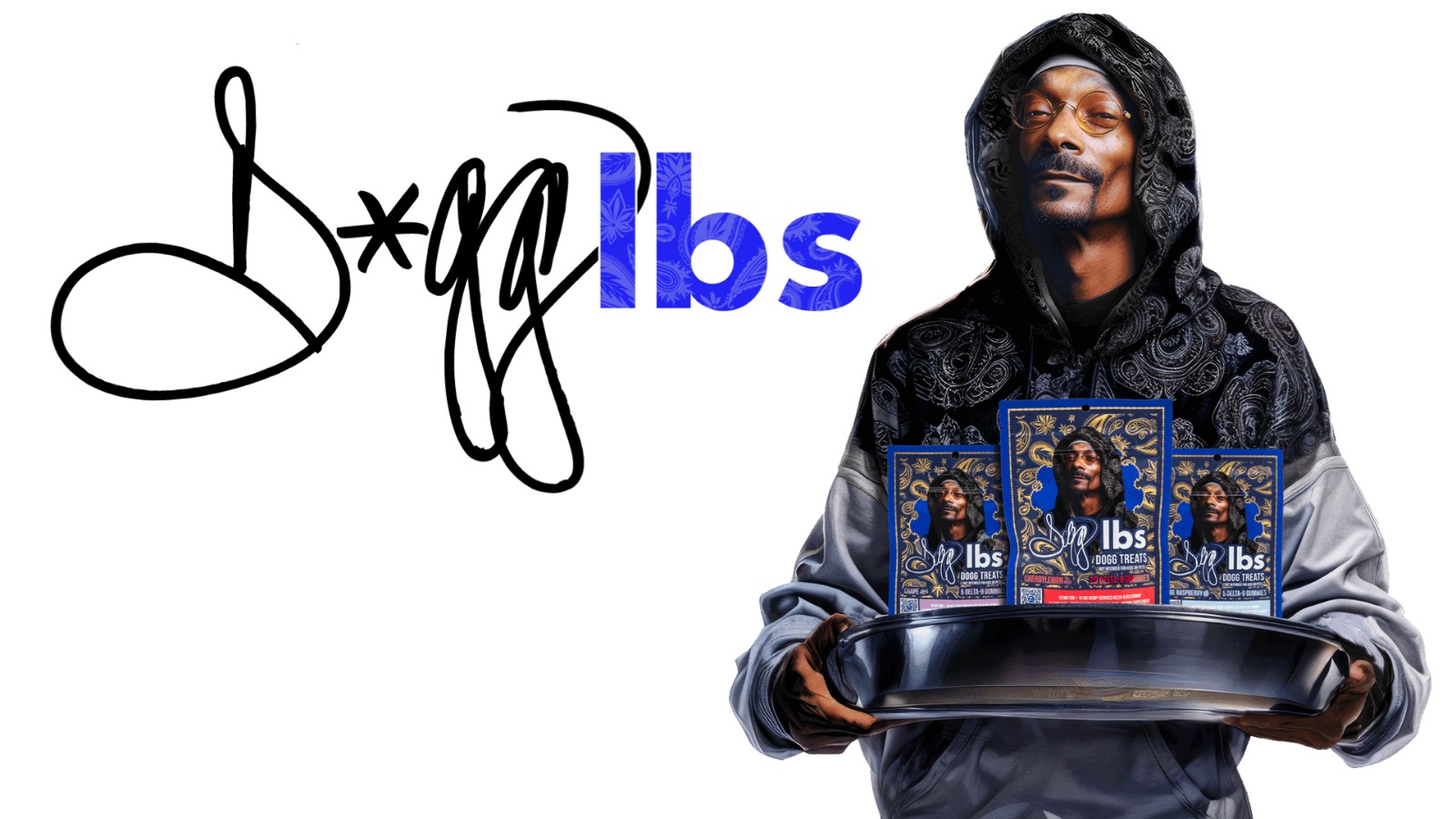 Snoop Dogg Hero